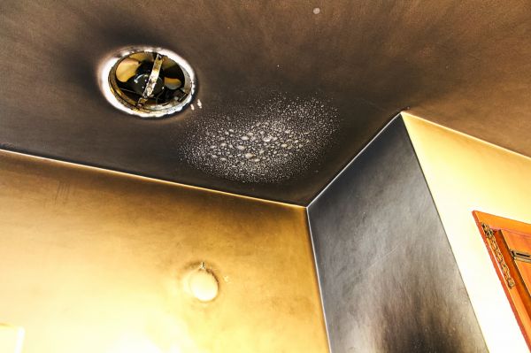 Cost of Smoke Damage Removal in Muncie