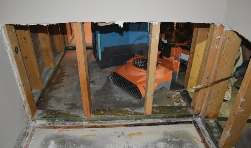 Water Damage Mitigation